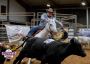 Horse Training by Professionals | Ranch Sorting Lessons