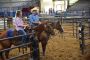 Top Ranch Sorting Practice Texas | All Levels Welcome Top Ranch Sorting Practice Texas | All Levels Welcome