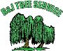 Need a Tree Removal Fast? Call R and J Tree Service, Inc!