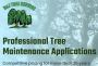 Remove Old Stumps to Improve Your Outdoor Space Appearance