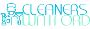 Professional Cleaners in Watford