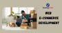 Leading eCommerce Solutions Provider | Ranking Chief