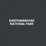 Best Time to Visit Ranthambore for a Wild Getaway