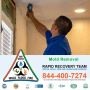 Mold Removal Deerfield Beach