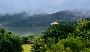 How To Plan A Trip To Sariska National Park