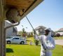 Fast & Safe Wasp Nest Removal Services in Katy, TX Fast & Safe Wasp Nest Removal Services in Katy, TX