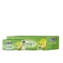 Moroccan Mint Green Tea Bags - Buy 25 Tea Bags at reasonable