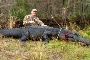 Book an Exciting Florida Alligator Hunting Trip With Razzor 