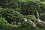 Walk Along Cascading Beauty at Benang Kelambu Waterfalls