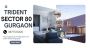 Trident Sector 80 Gurgaon 