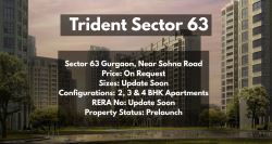 Discover Luxury Residences at Trident Sector 63 Gurgaon