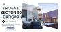 Trident Sector 80 Gurgaon: A Masterpiece of Modern Living