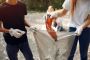 Professional Waste Removal in Wigan – Cadman Rubbish Remova
