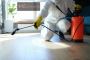 Expert Pest Control Services in Perth for a Pest-Free Life