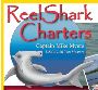Reel Shark Reel Shark
