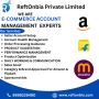 ecommerce marketplace seller account management services in 