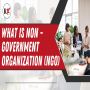 What is non government organization (NGO)