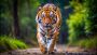 Plan Ranthambore Tiger Sighting for Adventure 