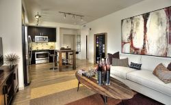 SPACIOUS 1 BED/ 1 BATH APARTMENT IN MANHATTAN AREA