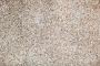 Stone Carpet in Florida