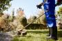 Landscaping Services in USA - Resin Rock LLC