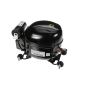  P-1-307  Refrigerator Compressor PartsFe CA