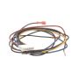 Vulcan Hart VH354472-2 Oven Wire Harness Assembly | PartsFe