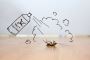 Your Trusted Pest Control Service in Tarneit