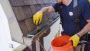 Gutter cleaning services