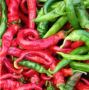 Cowhorn Pepper Seeds Hot Chili Cow Horn Pepper Seeds for pla