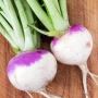 White Turnip Seeds for Planting