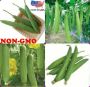 Luffa Seeds Sponge Gourd Ghosaval Loofa