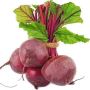 Red Beetroot Seeds Beta Vulgaris Seeds 