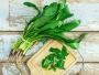 Culantro Seeds Ngo Gai Sawtoothfitweed