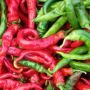 Cowhorn Pepper Seeds - Hot Chili Pepper