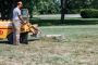 Affordable & Safe Tree Cutting Service Across New York