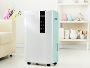 Commercial Cool Dehumidifier