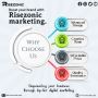 SEO company for startups in delhi