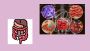 Best Gastro Surgeon in Jaipur – Advanced Treatment Available