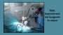 Bariatric Surgery in Jaipur: The Ultimate Guide to Weight Lo