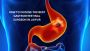 Expert Gastrointestinal Surgeons in Jaipur