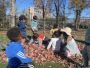 Trusted Daycare Center in Reston, VA - Rising Stars Learning