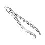 Extraction forceps