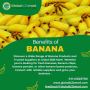 Fresh Yellow Banana | Fresh Organic Bananas | GlobalB2BMart