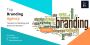 Best Creative Agency in Delhi – Call Ritz Media World