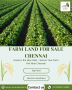 Farm Land for Sale Chennai - River Properties Farm Land for Sale Chennai - River Properties