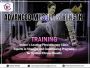 Comprehensive Physiotherapy Services in Indore: Your Path to