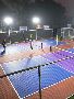 Experience World-Class Pickleball Courts in India – Book Tod