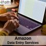 Expert Amazon Data Entry Services for Seamless Listing Manag