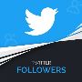 Buy Real and Cheap Twitter Followers